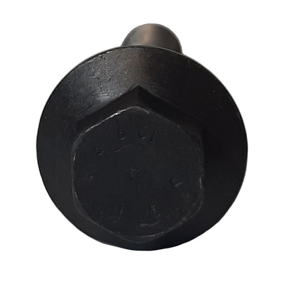Genuine Fiat Screw | 55225505