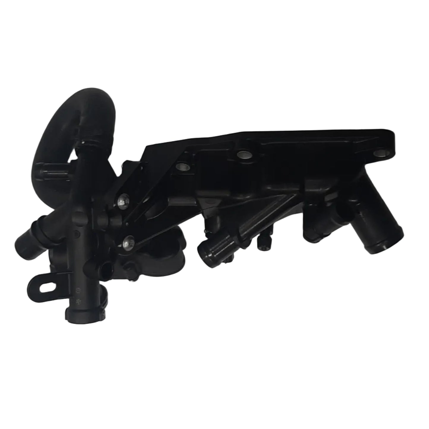 Genuine Nissan Outlet-Water | 1106000Q1E