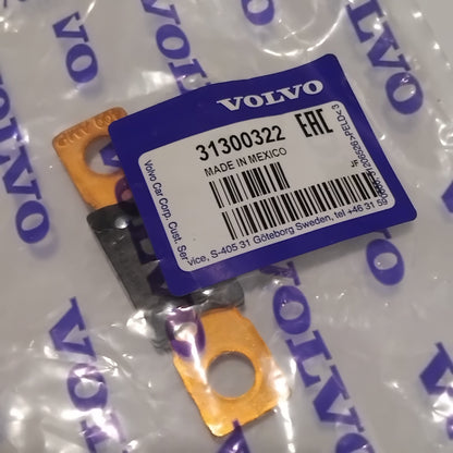 Genuine Volvo Fuse | 31300322