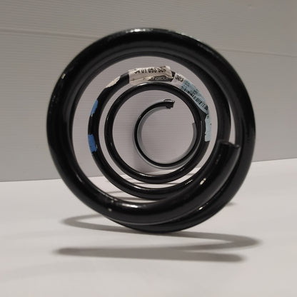 Genuine Renault Spring | 54 01 098 38R
