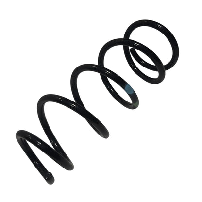 Genuine Fiat Spring | 6000615662