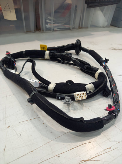 Genuine Kia Wiring Assy-Fr Dr,Dr | 916001W530