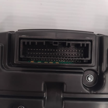 Genuine Renault Instrumental Pane | 24 81 028 18R