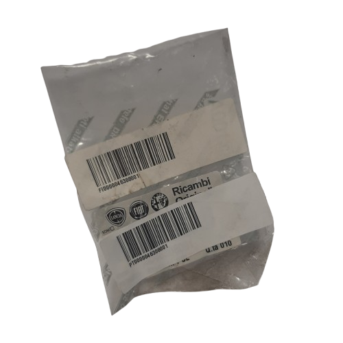 Genuine Fiat Lockring | 46308001
