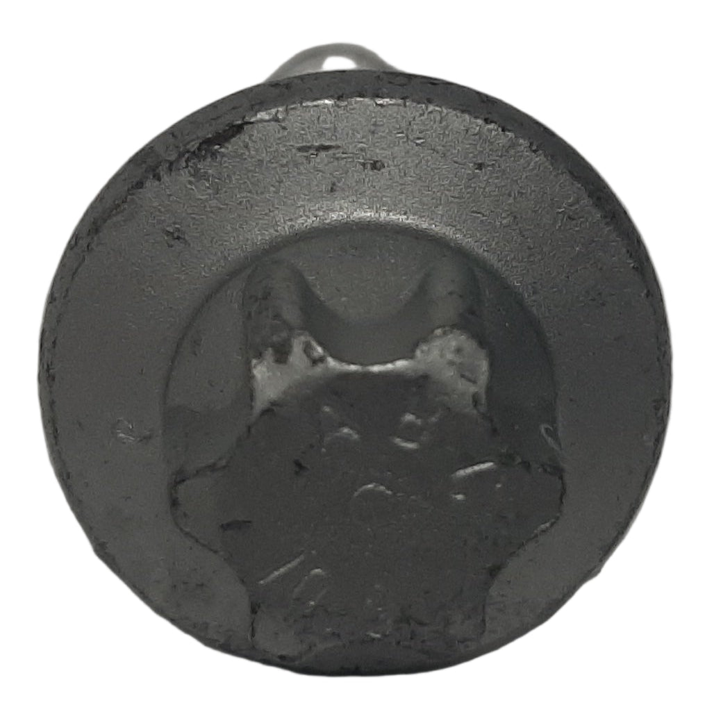 Genuine Fiat Screw | 811900027