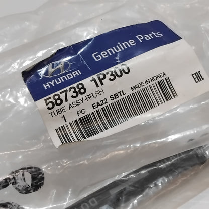 Genuine Hyundai Tube Assy-Rr Rh | 587381P300