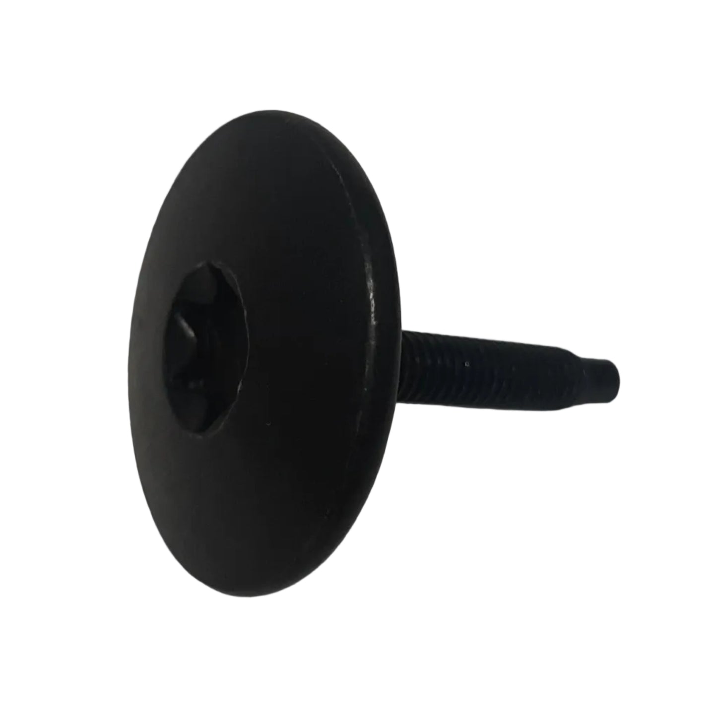 Genuine Fiat Screw | 670003766