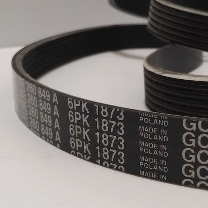 Genuine SEAT Ribbedbelt | 03E260849A