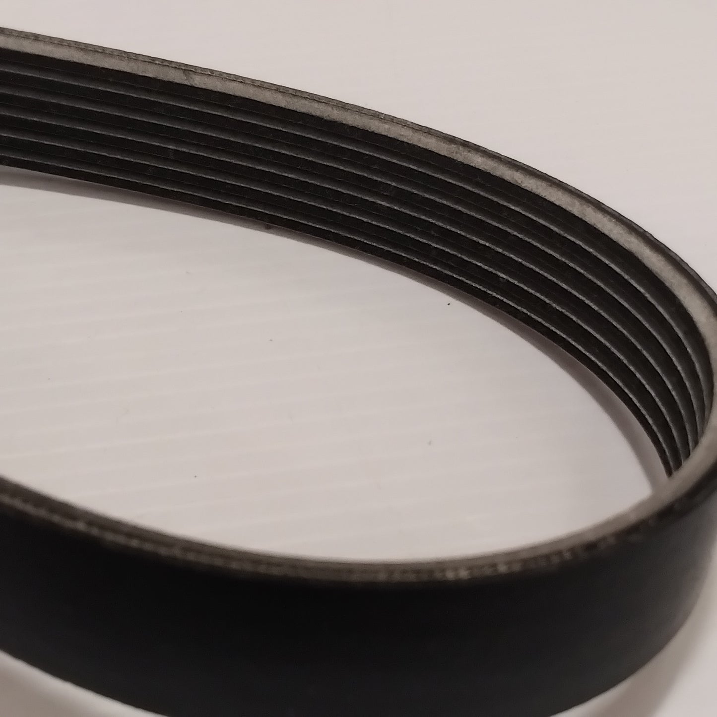 Genuine SEAT Ribbedbelt | 03E260849A