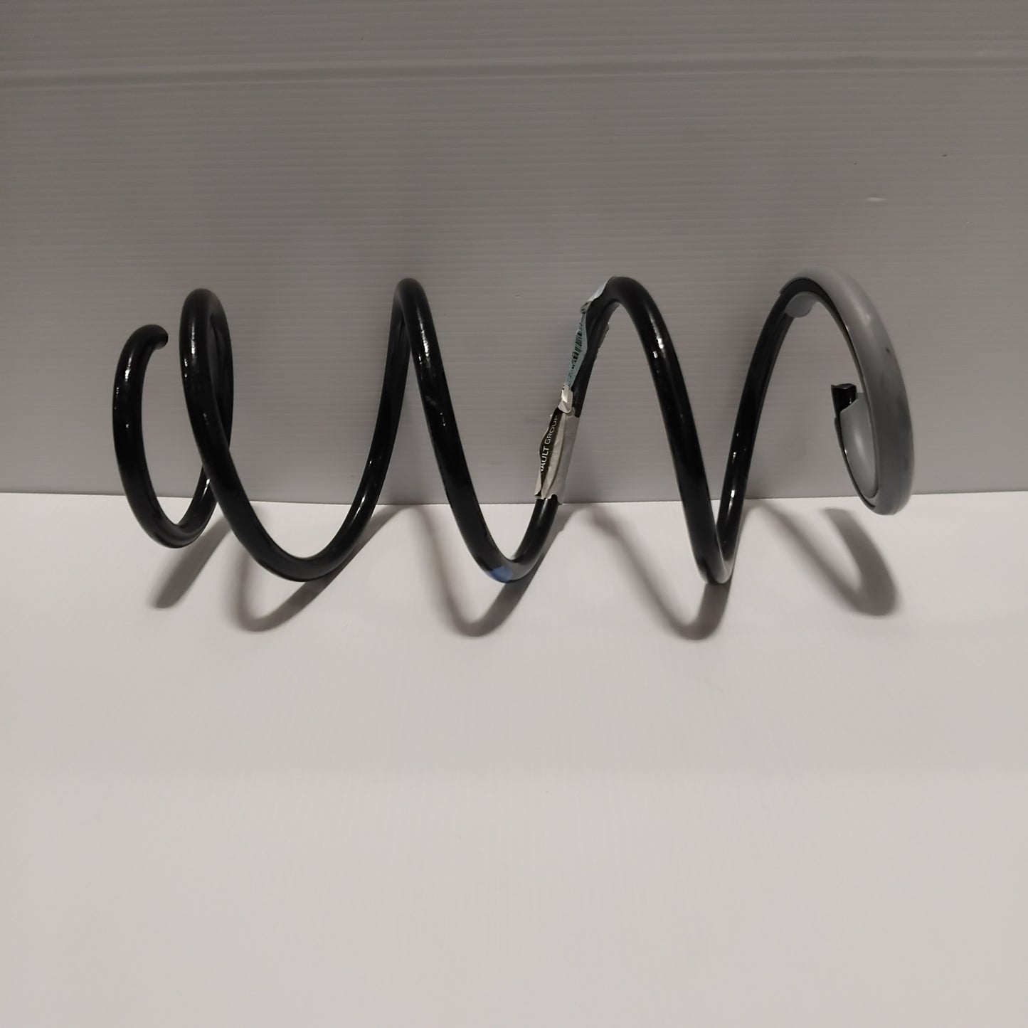 Genuine Renault Spring | 54 01 098 38R