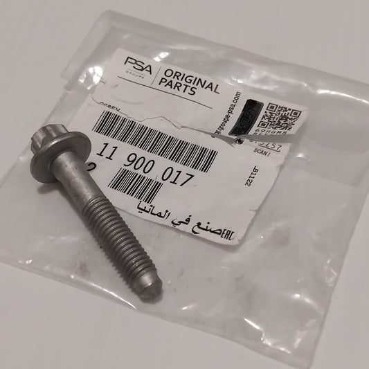 Genuine Vauxhall Screw | 11900017