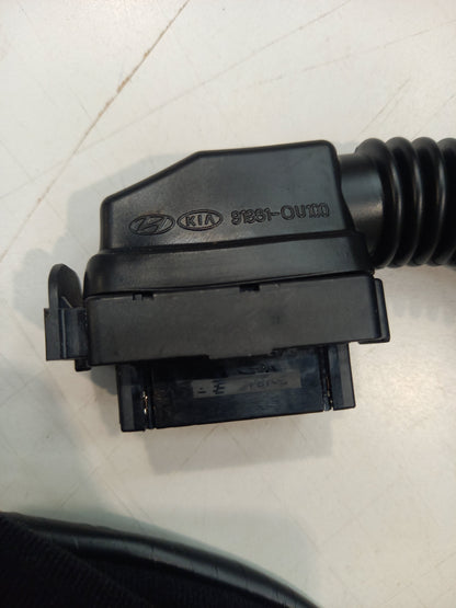 Genuine Kia Wiring Assy-Fr Dr,Dr | 916001W530