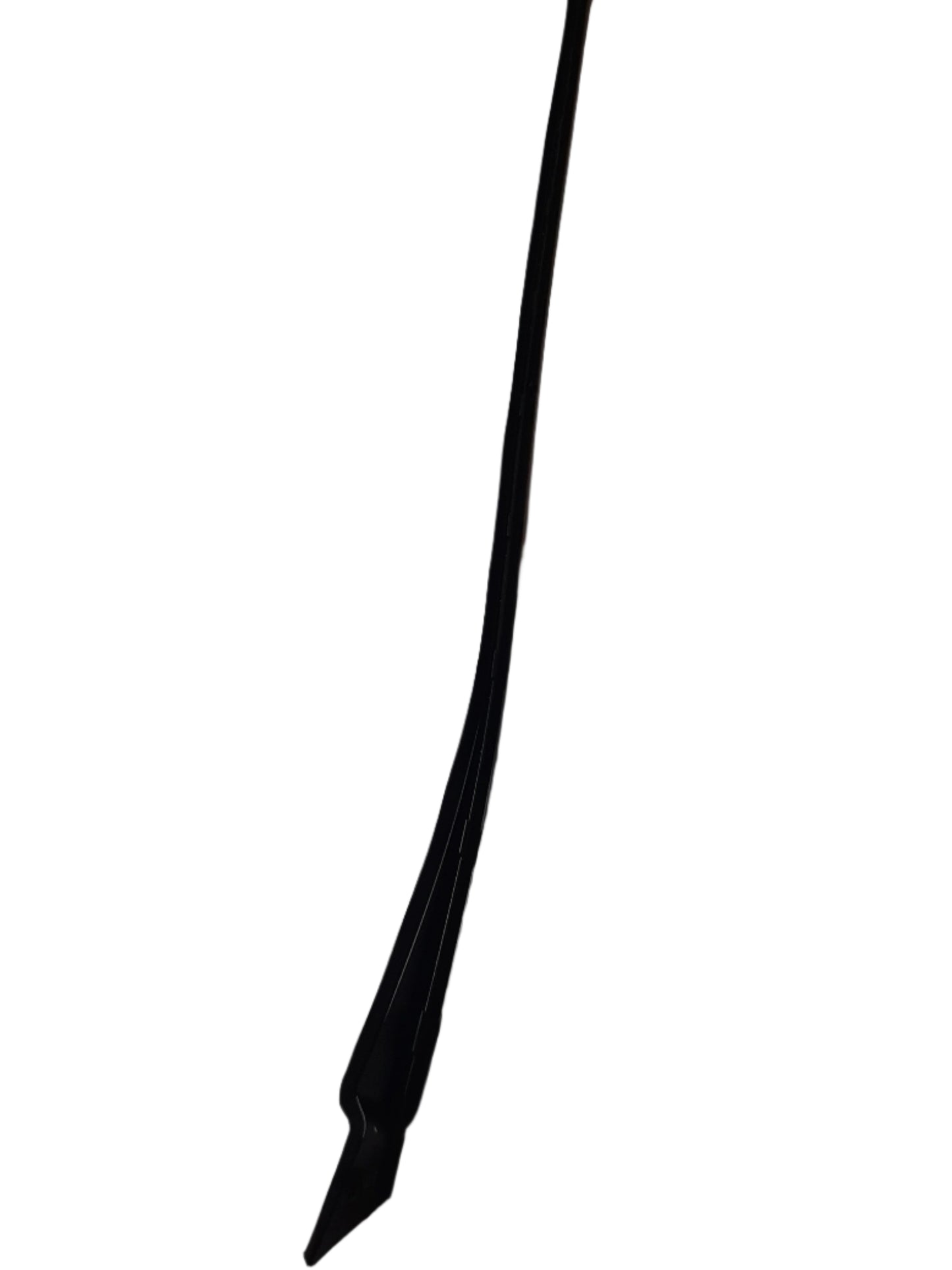 Genuine Ford Moulding - Windshield | 2409092
