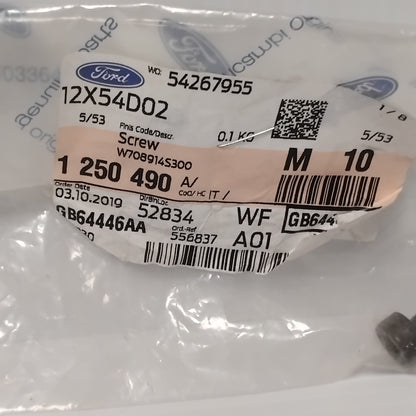1x Genuine M6 X 22MM Transmission Case Screw - Ford Ecosport 2013-2023 | 1250490