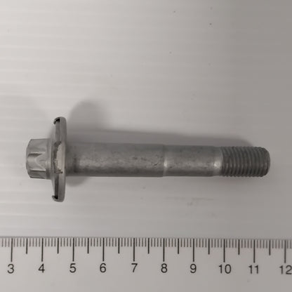 Genuine Timing Belt Pulley Bolt - Ford Mondeo 2008-2014 | 1742061