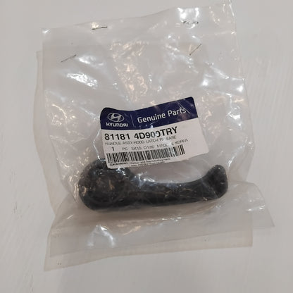 Genuine Hyundai Handle Assy-Hood Lat | 811814D900TRY