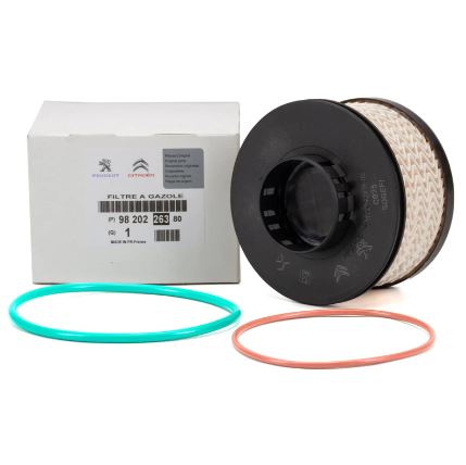 Genuine Fuel Filter - Peugeot 3008 2016-2020 | 9820226380