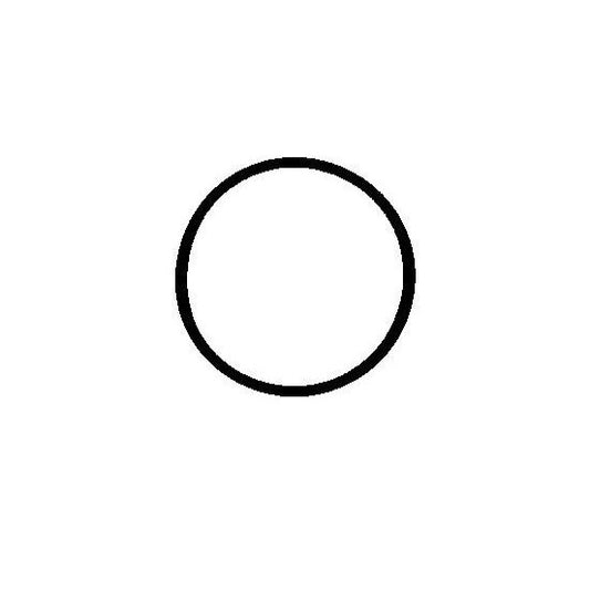 Genuine Peugeot Intake O-Ring Seal - Citroen Dispatch 1994-2006 | 036534 | 036534