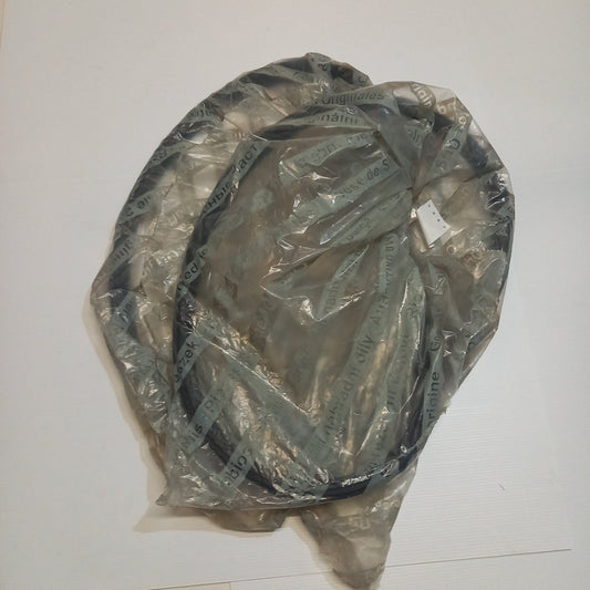 Genuine Rear Door Seal - Lancia Thesis | 156036348