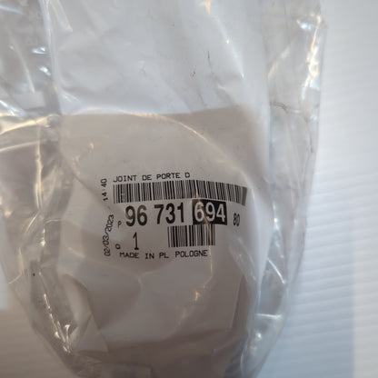 Genuine Peugeot Dr Weatherstrip | 9673169480