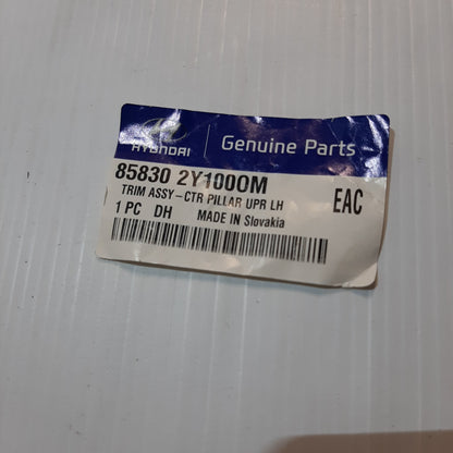 Genuine Left Central Pillar Trim - Hyundai ix35 | 858302Y100OM