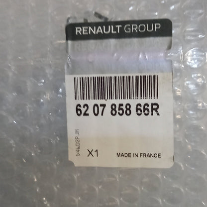 Genuine Front Bumper Moulding - Renault Scenic 3 | 62 07 858 66R