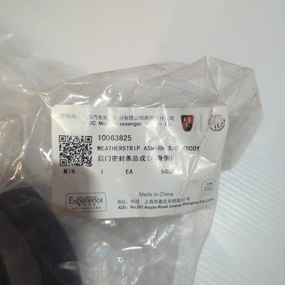Genuine MG Weatherstrip Asm-Rr S/D | 10063825