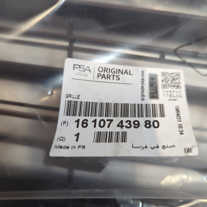 Genuine Peugeot Guard Grille | 1610743980
