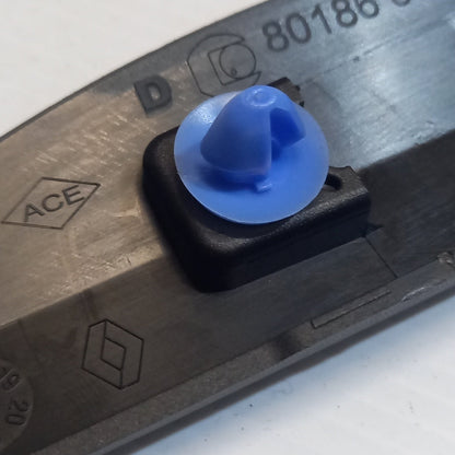 Genuine Renault Protr-Fr Rh Door | 80 18 667 56R