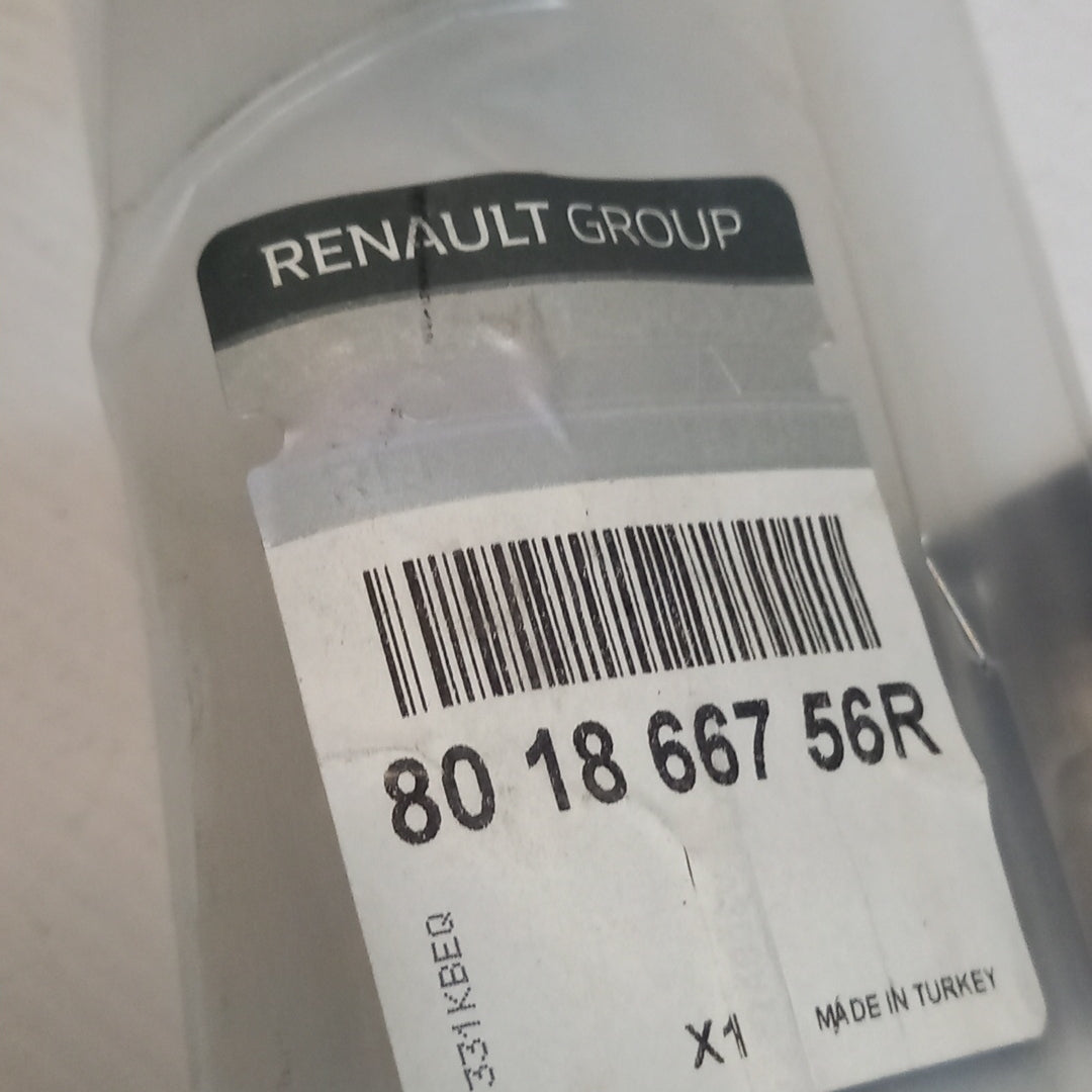Genuine Renault Protr-Fr Rh Door | 80 18 667 56R
