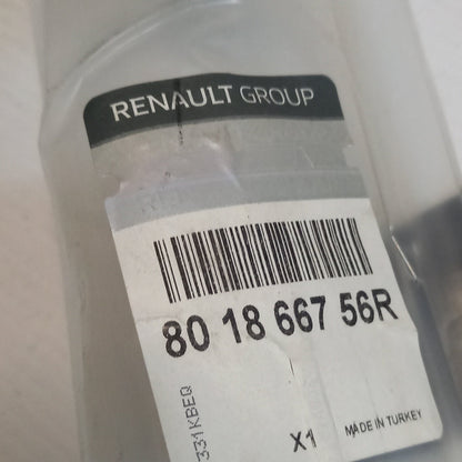 Genuine Renault Protr-Fr Rh Door | 80 18 667 56R