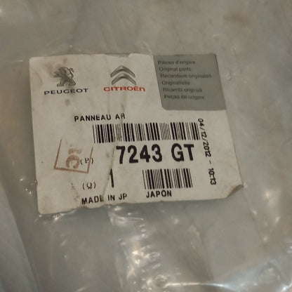 Genuine Rear Panel - Peugeot | 7243GT