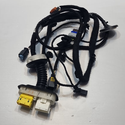 Genuine Front Left Door Harness - Peugeot / Citroen | 9812371980