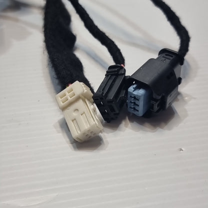 Genuine Front Left Door Harness - Peugeot / Citroen | 9812371980