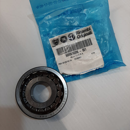 Genuine Manual Transmission Bearing - Fiat | 6000616096