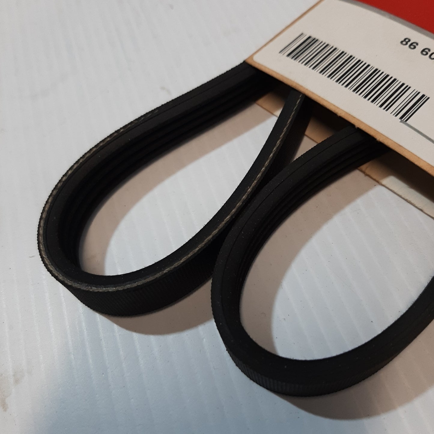 Genuine V-Ribbed Belt - Renault | 8660002036