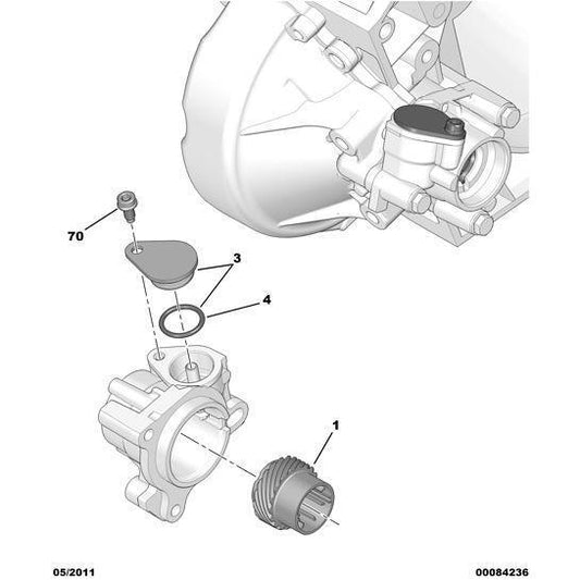 Diesel Speedometer Control Bolt - Citroen Berlingo 2012-2015 | 264302