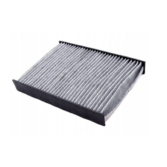 Pollen Filter - Renault Scenic MK3 | 272771128R