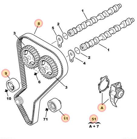 Cambelt and Water Pump Kit - Peugeot 306 1993 2002 | 1611898380