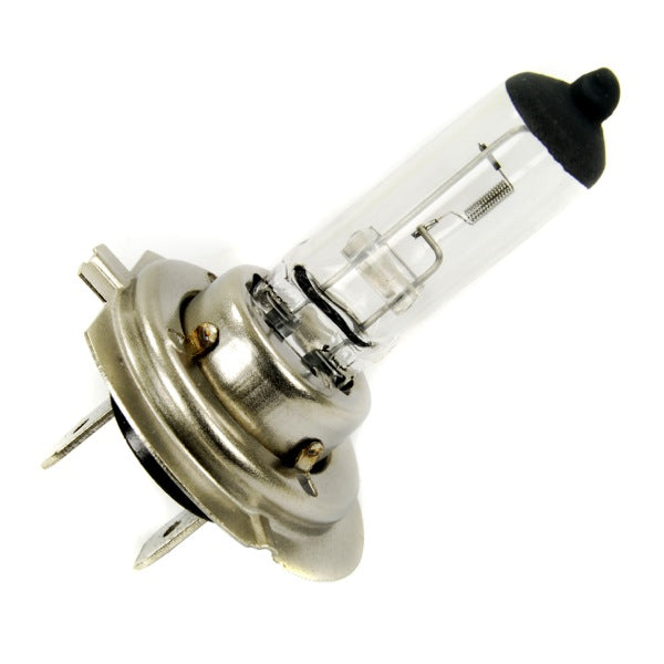 Classic H7 12V 55W H/Lamp Bulb | B0499CL