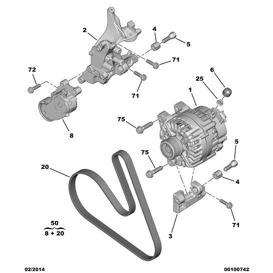 Drive Belt Alternateur - Citroen Berlingo 2012-2015 Diesel |5750ZF