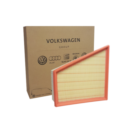 Genuine Air Filter 1.2L VW Polo 2017 - 2021 | 6Y0129620