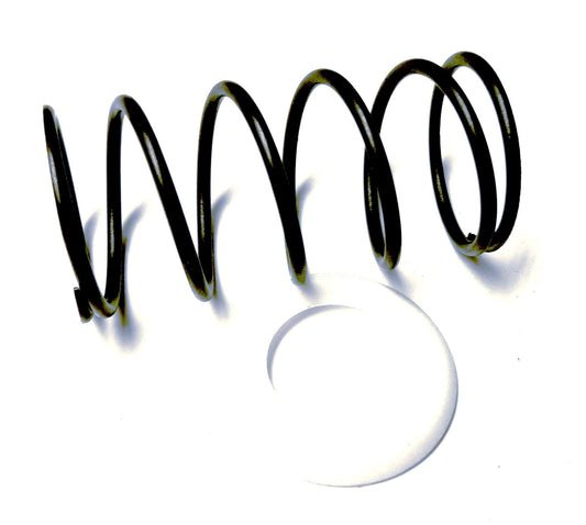 Genuine Fiat Cam Variator Spring Kit | 71715450