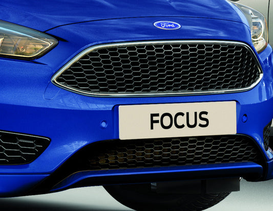 Genuine Ford Focus Front Grille