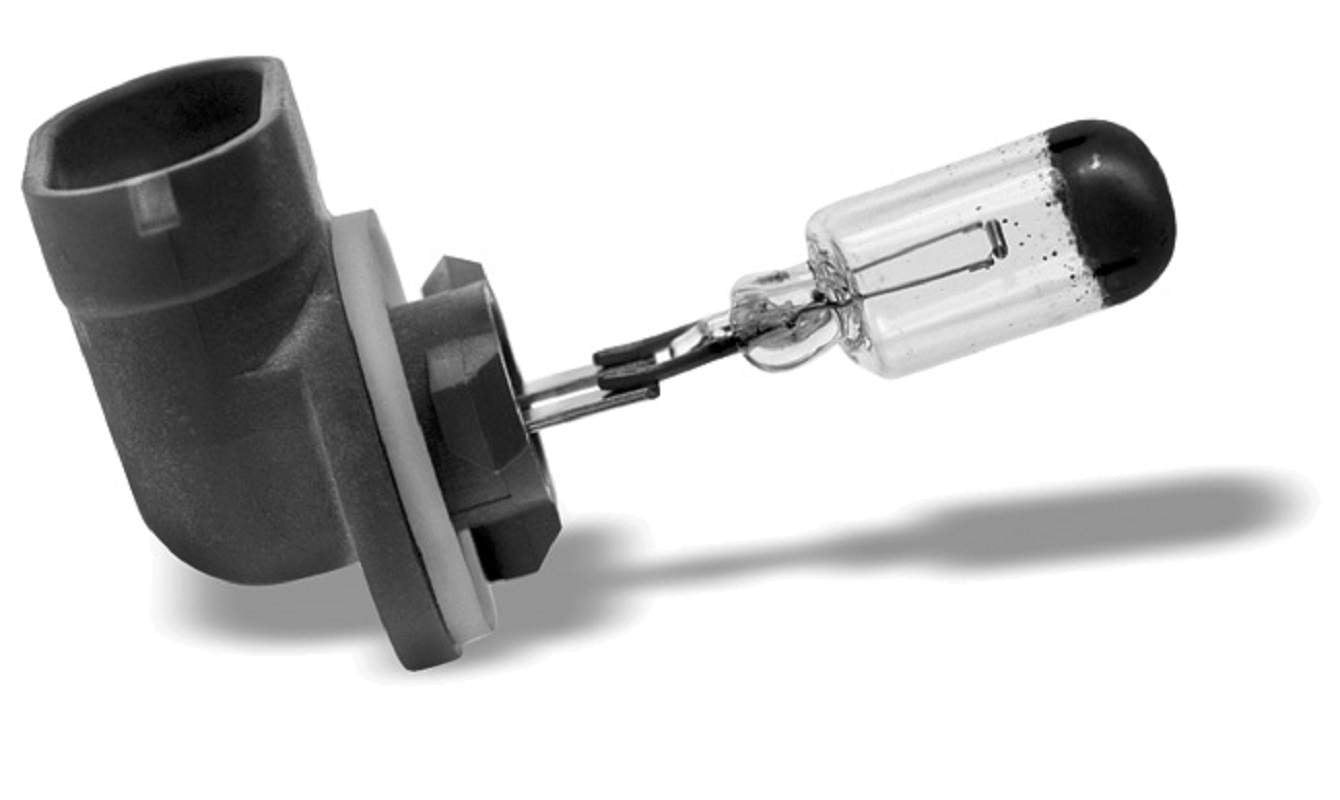 Pgj13 12V 27W Halogen Bulb | EB0881SB